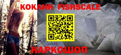 крисы Моздок