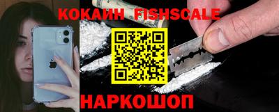 крисы Моздок