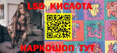 крисы Моздок