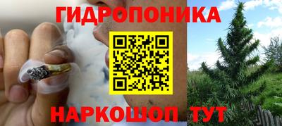 гидропоника Можайск