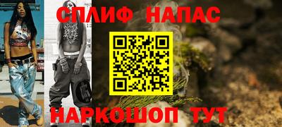 крисы Моздок