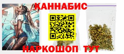 крисы Моздок