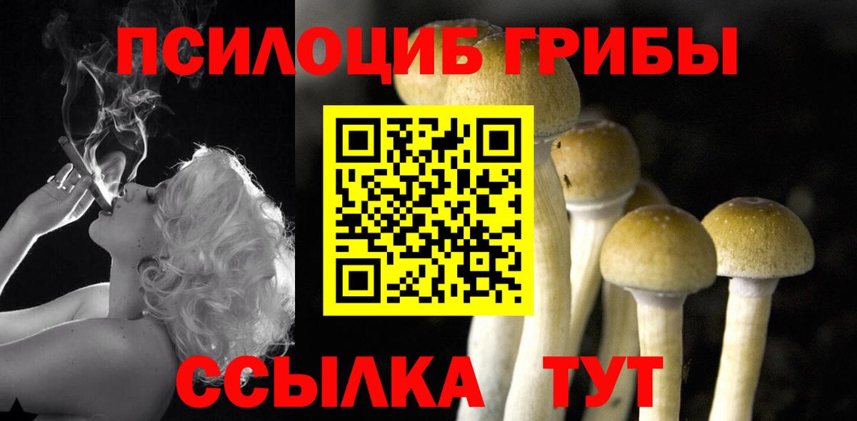Галлюциногенные грибы MAGIC MUSHROOMS Черногорск