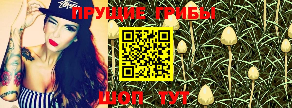 Псилоцибиновые грибы MAGIC MUSHROOMS  Вход с VPN  Черногорск 